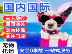 白城机场货运国际宠物托运 【国